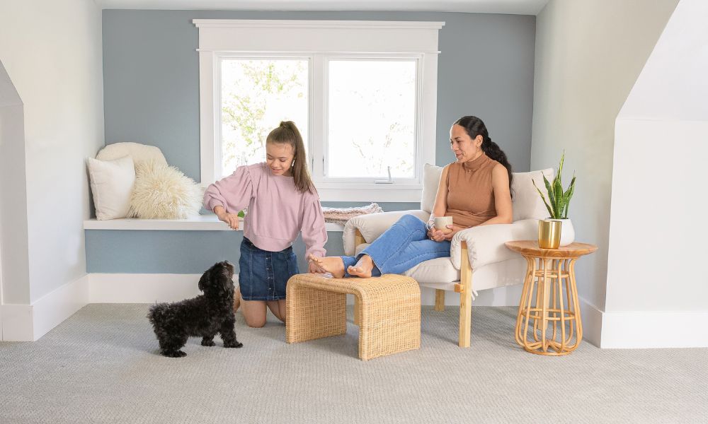 Carpet Cleaning by Chem-Dry Carpet Cleaning by Chem-Dry